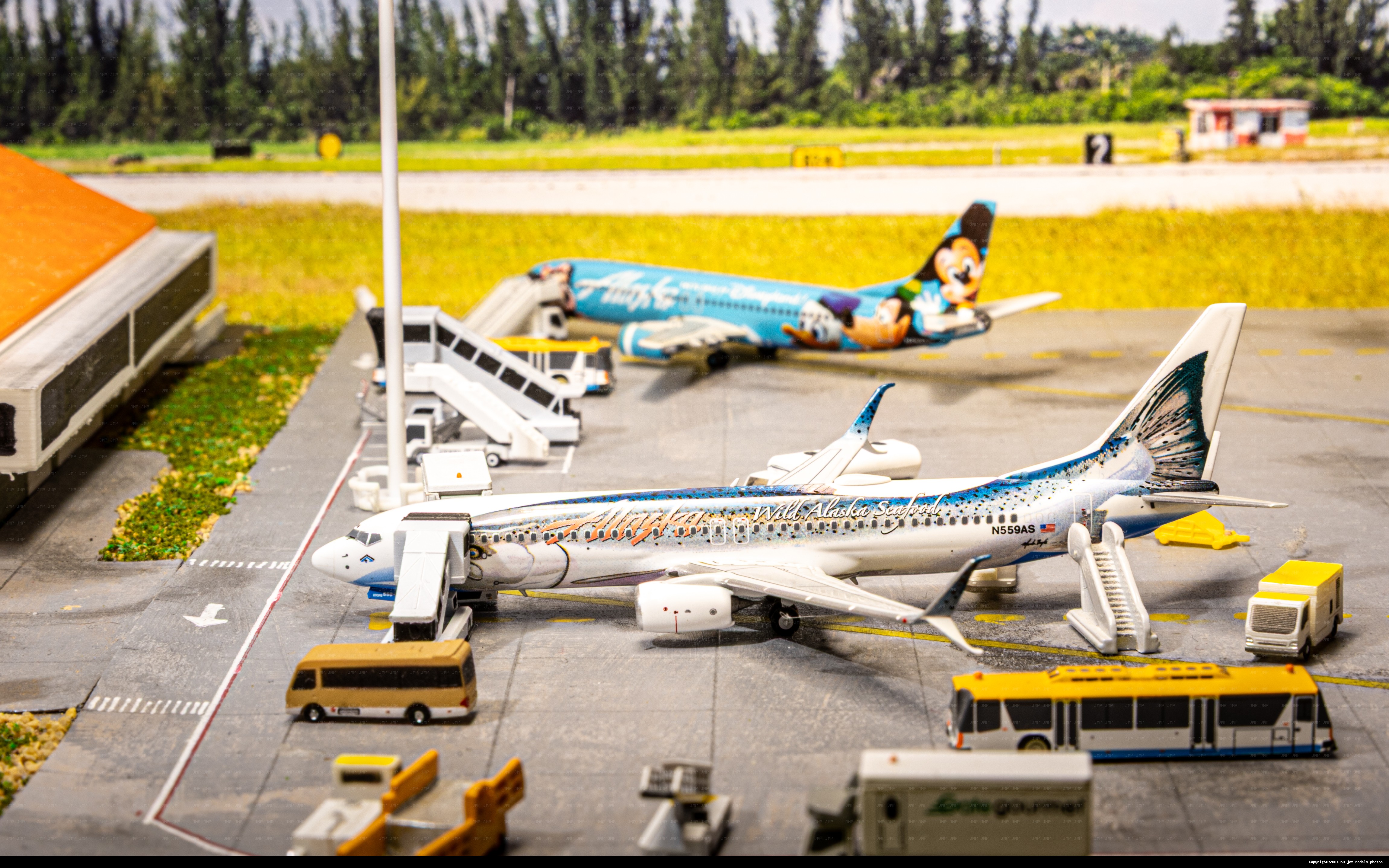 Alaska regional flight